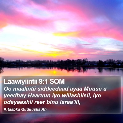 Laawiyiintii 9:1 SOM Bible Verse Image