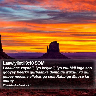 Laawiyiintii 9:10 SOM Bible Verse Image