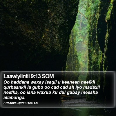 Laawiyiintii 9:13 SOM Bible Verse Image