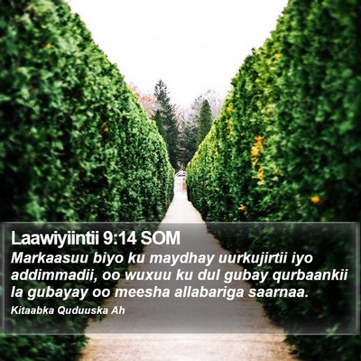 Laawiyiintii 9:14 SOM Bible Verse Image