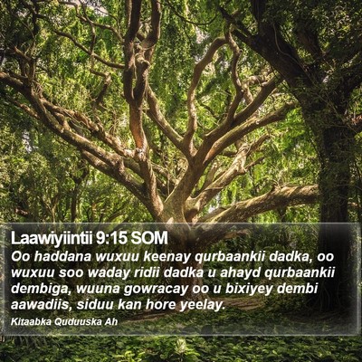Laawiyiintii 9:15 SOM Bible Verse Image