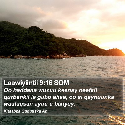 Laawiyiintii 9:16 SOM Bible Verse Image