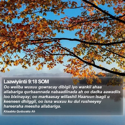Laawiyiintii 9:18 SOM Bible Verse Image