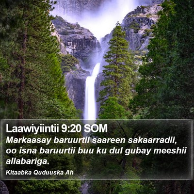 Laawiyiintii 9:20 SOM Bible Verse Image