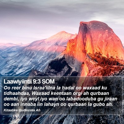Laawiyiintii 9:3 SOM Bible Verse Image