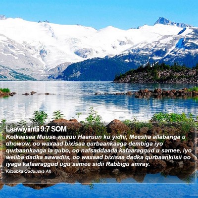 Laawiyiintii 9:7 SOM Bible Verse Image