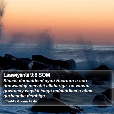 Laawiyiintii 9:8 SOM Bible Verse Image