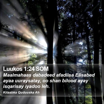 Luukos 1:24 SOM Bible Verse Image