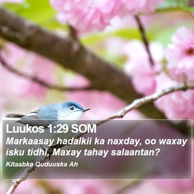 Luukos 1:29 SOM Bible Verse Image