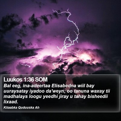 Luukos 1:36 SOM Bible Verse Image