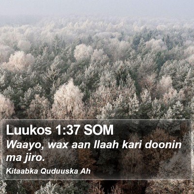 Luukos 1:37 SOM Bible Verse Image