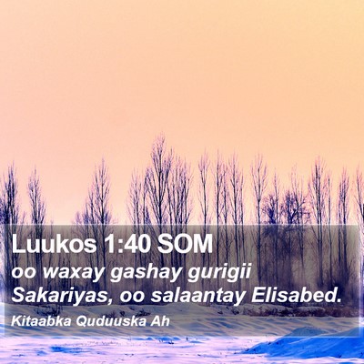Luukos 1:40 SOM Bible Verse Image