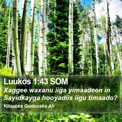 Luukos 1:43 SOM Bible Verse Image