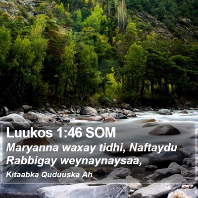 Luukos 1:46 SOM Bible Verse Image