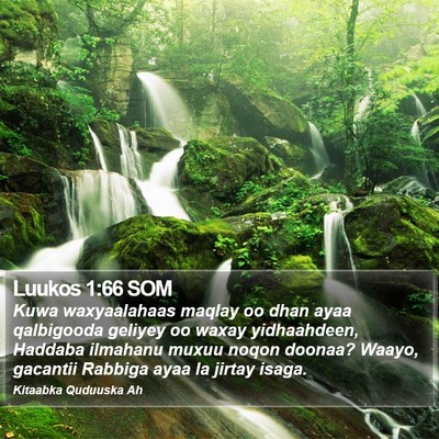 Luukos 1:66 SOM Bible Verse Image