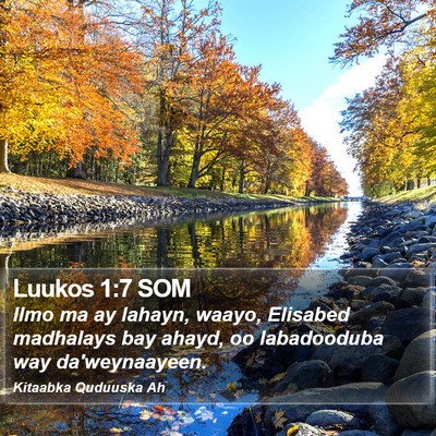 Luukos 1:7 SOM Bible Verse Image