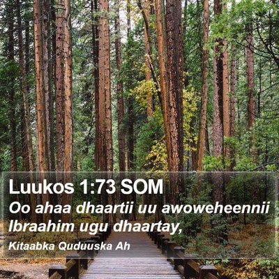 Luukos 1:73 SOM Bible Verse Image