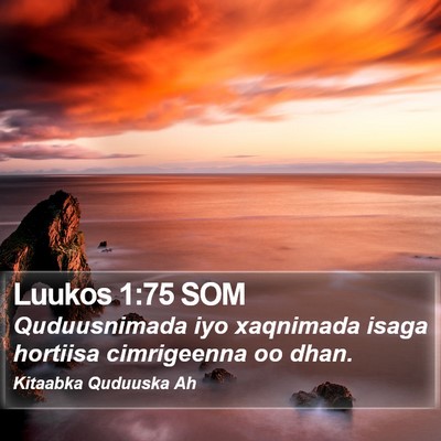 Luukos 1:75 SOM Bible Verse Image
