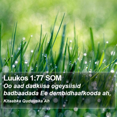 Luukos 1:77 SOM Bible Verse Image