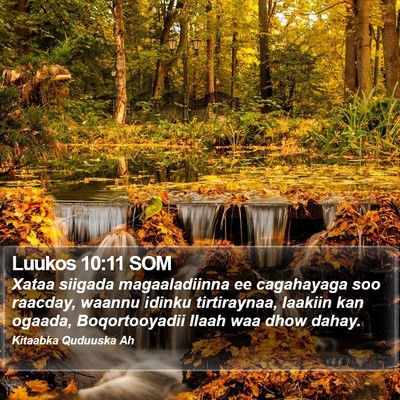 Luukos 10:11 SOM Bible Verse Image