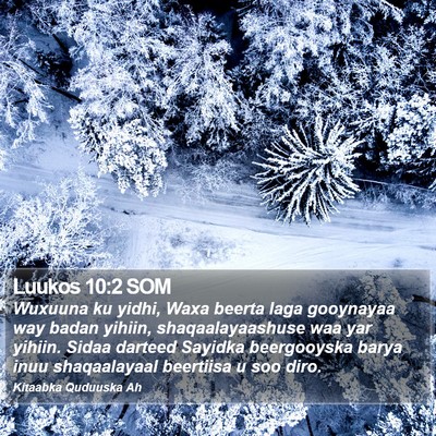 Luukos 10:2 SOM Bible Verse Image