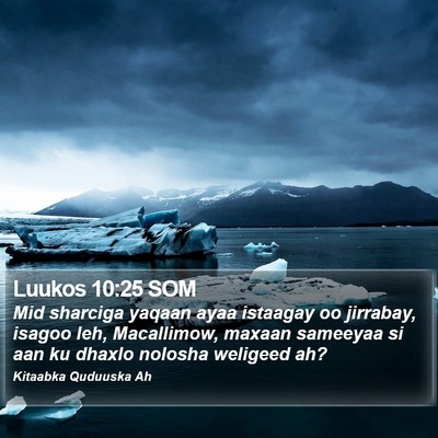 Luukos 10:25 SOM Bible Verse Image