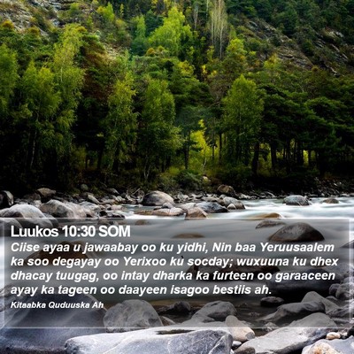 Luukos 10:30 SOM Bible Verse Image