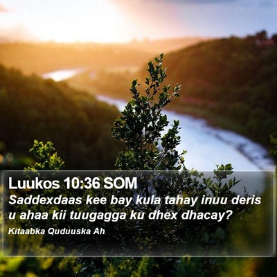 Luukos 10:36 SOM Bible Verse Image