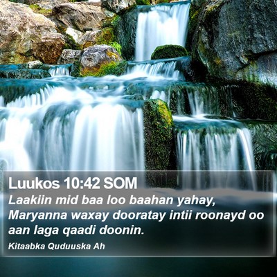 Luukos 10:42 SOM Bible Verse Image