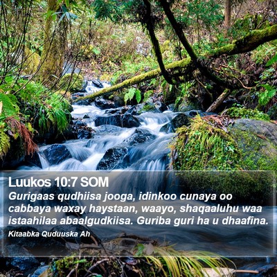Luukos 10:7 SOM Bible Verse Image