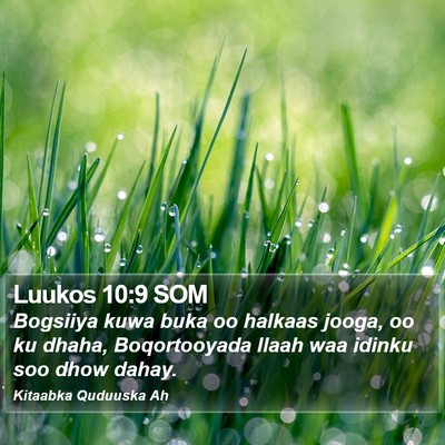 Luukos 10:9 SOM Bible Verse Image