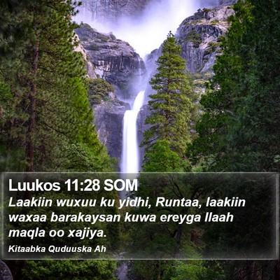 Luukos 11:28 SOM Bible Verse Image