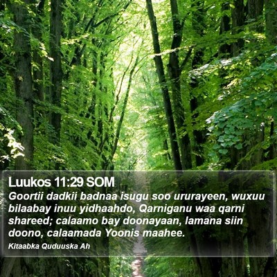 Luukos 11:29 SOM Bible Verse Image