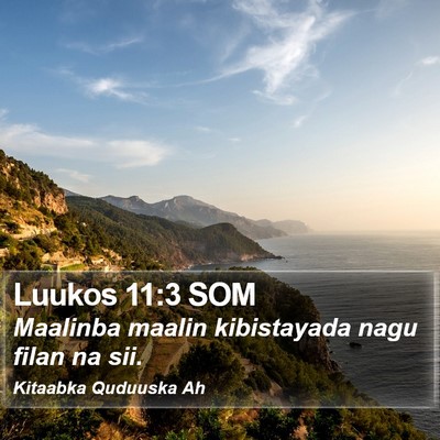 Luukos 11:3 SOM Bible Verse Image