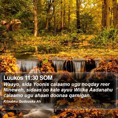 Luukos 11:30 SOM Bible Verse Image