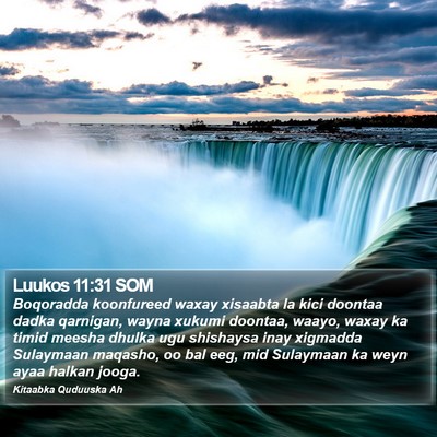 Luukos 11:31 SOM Bible Verse Image