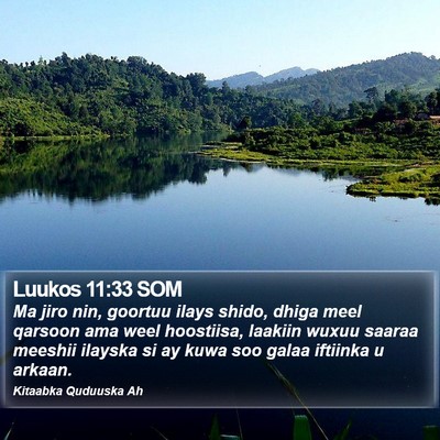 Luukos 11:33 SOM Bible Verse Image