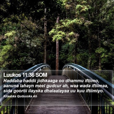 Luukos 11:36 SOM Bible Verse Image