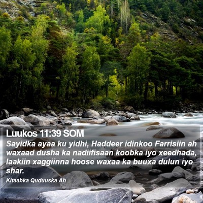 Luukos 11:39 SOM Bible Verse Image