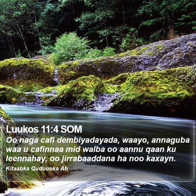 Luukos 11:4 SOM Bible Verse Image