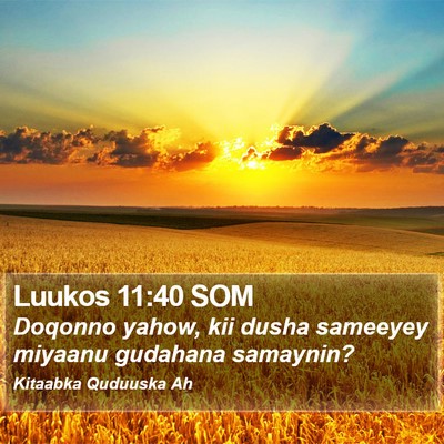 Luukos 11:40 SOM Bible Verse Image