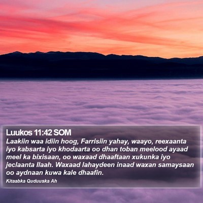 Luukos 11:42 SOM Bible Verse Image