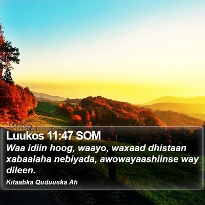 Luukos 11:47 SOM Bible Verse Image