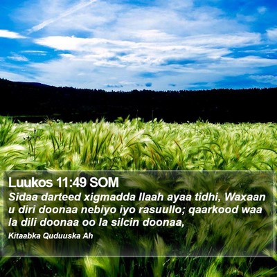 Luukos 11:49 SOM Bible Verse Image