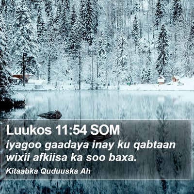 Luukos 11:54 SOM Bible Verse Image