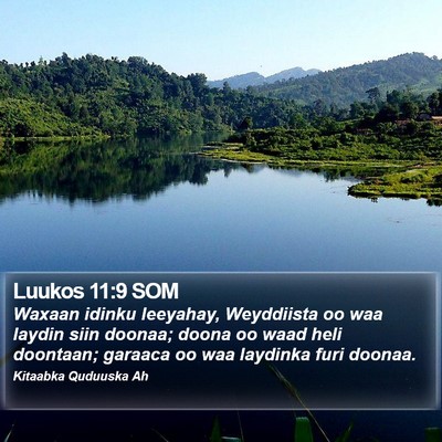 Luukos 11:9 SOM Bible Verse Image