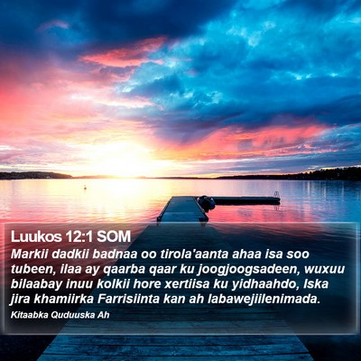 Luukos 12:1 SOM Bible Verse Image