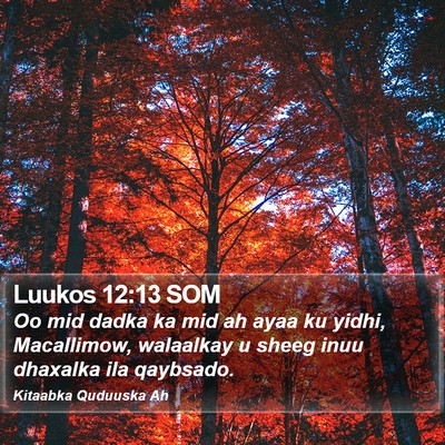 Luukos 12:13 SOM Bible Verse Image
