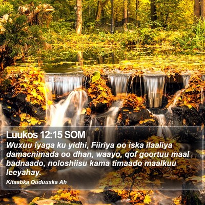 Luukos 12:15 SOM Bible Verse Image