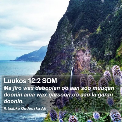 Luukos 12:2 SOM Bible Verse Image